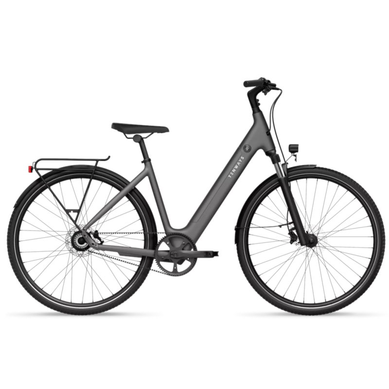 Elektriskais velosipēds TENWAYS CGO800S, gaiši pelēks