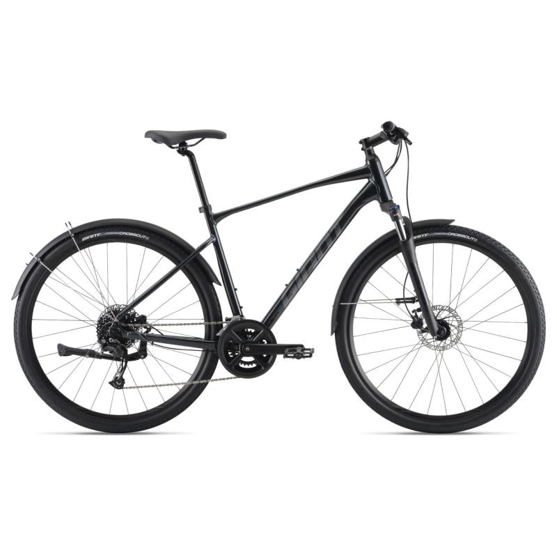 Velosipēds Giant Roam EX, kokogles