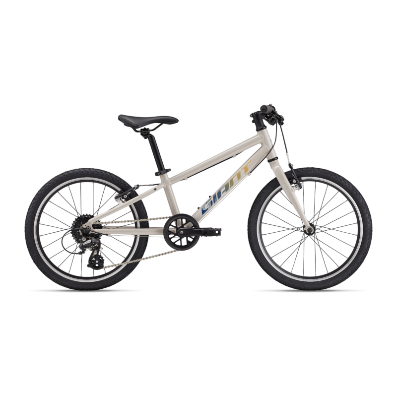 Īpaši viegls bērnu velosipēds GIANT ARX 20 (2025) Sēne
