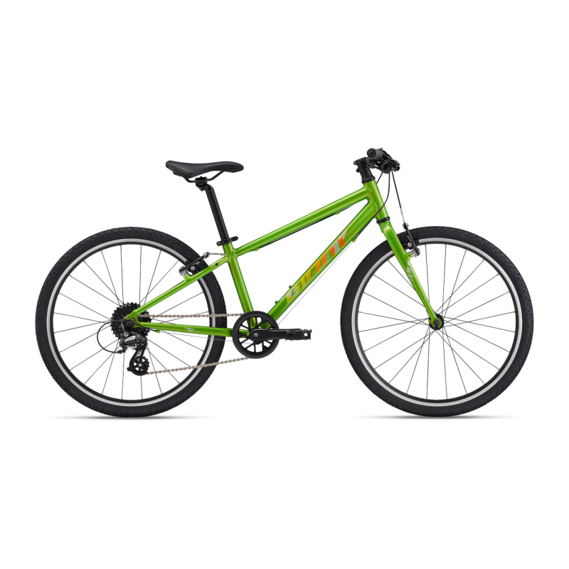 Īpaši viegls bērnu velosipēds GIANT ARX 24 (2025) Metallic Green