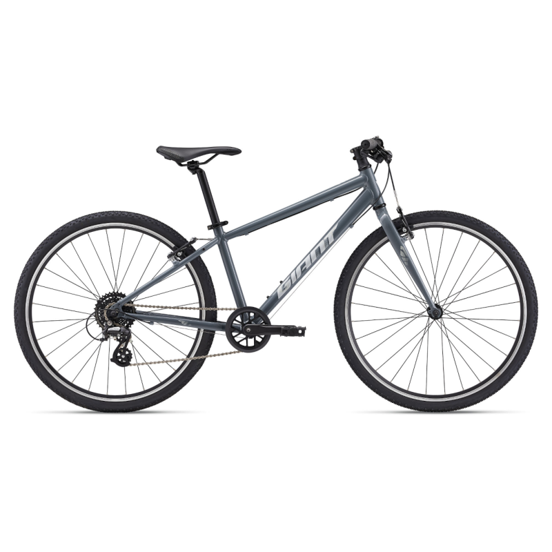 Īpaši viegls jauniešu velosipēds GIANT ARX 26 (2025) Ocean Storm